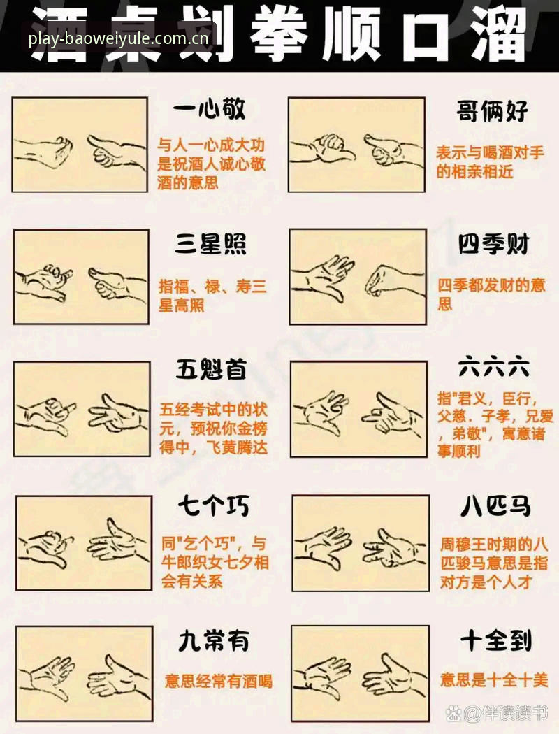 宝威娱乐官方版功能详解：从新手到高手的完整操作教程