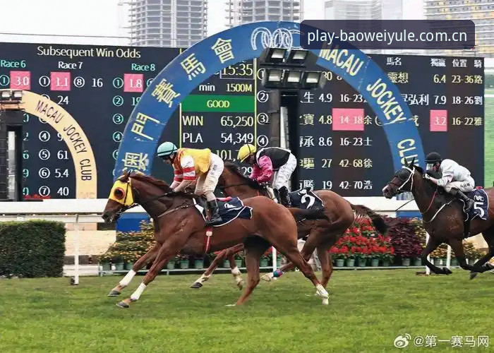 宝威娱乐官方网站 宝威娱乐平台全新体验详解